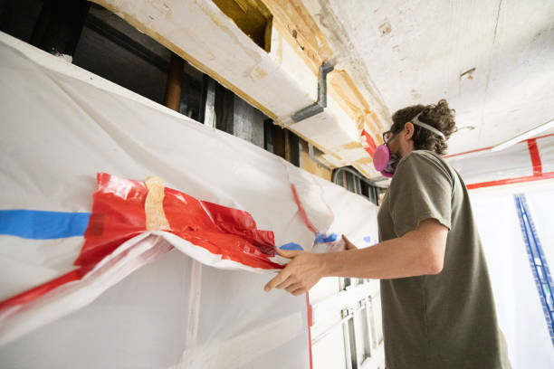  Guadalupe, AZ Mold Removal Pros